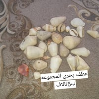 البصره الزبير • ملاكط • توصل