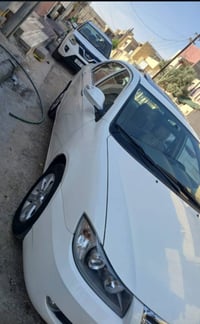 ليفان • ٢٠١٣ • رقم بابل