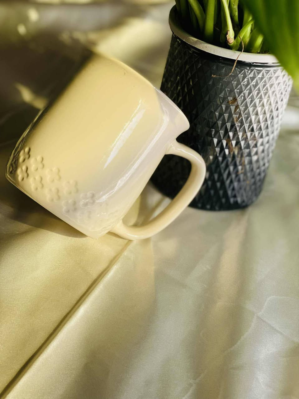 الحمد لله دائما وابدا ............................

اكواب احجام متوسط + كبير شكلهن يخبل
ومفيدات

الكوب ب الف ( بيهن دولكات صغار)  

عندي توصيل لكل مكان 💚


**إذا كنت صاحب هذا الإعلان وتريد حذفه لأي سبب، رجاءا أرسل رسالة إلى الدعم الفني**