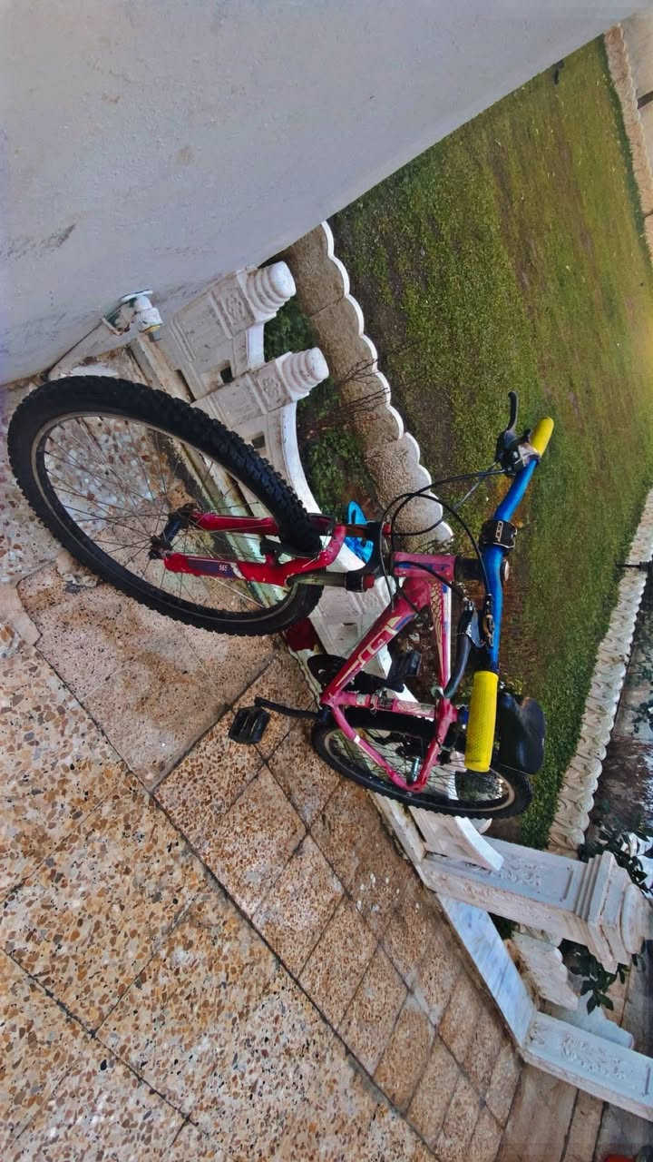 لل مروسا اب عبد الحليم أو للبيع السعر ٨٥ بي مجال


**إذا كنت صاحب هذا الإعلان وتريد حذفه لأي سبب، رجاءا أرسل رسالة إلى الدعم الفني**