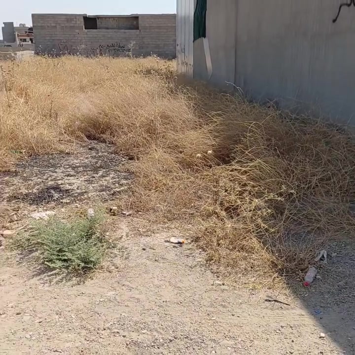 ***********
