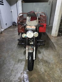 طرطورة ام الطير • بدون أوراق • قفل