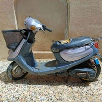 Poche • دراجة • مجهول