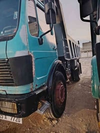 ٨١ كلاب بلادي باج بلادي شاصي مكفول حت من الصبغ مكينه محسن كير ٢٥ اكسن ...