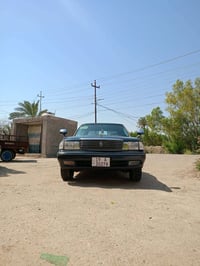 أرنب • سيارة • للبيع