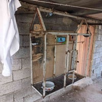 النجف • قفصين • بدون طيور