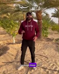 الوادي الجديد • نخيل مجدول • ٥ فدان