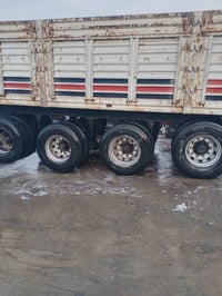 عربانه • نص عمر • حله القاسم