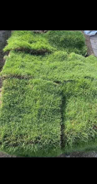 أنواع الثيل عدنه وبأسعار تنافسيه رقم الهاتف ***********يوجد خدمت توصيل ل باب البيت
