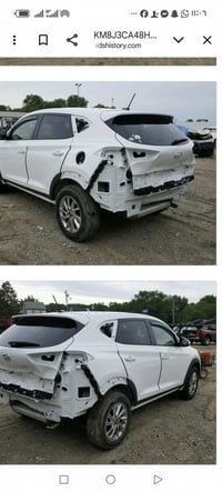 توسان • ٢٠١٧ • وارد امريكي