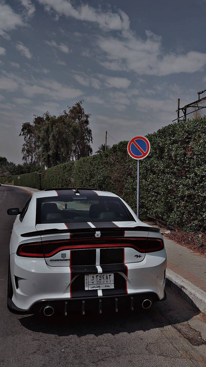 جارجر rt موديل ١٩
السيارة كلين صبغ دعاميات فقط
ماشية 68 ميل 

مواصفات
فتحة
رادارات جانبية نقطة عمياء
كشنات احمر جلد شاموا
ويل نجمة 
حساسات خلفية 
ولف حماوة ماشميتو
اويل كاج كان 
فيت بم ريسنك 

السعر 25750 $ 

***********
