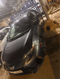 كورلا نفطي • ٢٠١٧ • كركوك