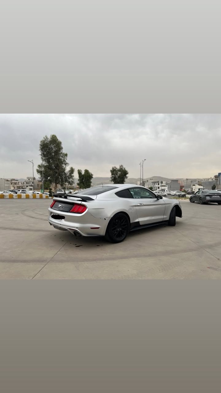 سعري 59$ مەجالێ زۆر کەم ***********
فورد موستانك موديل 2016 كامل ده سكاري به رمه جه 4 بستون توربؤ ده عمو ليدراوي نيه شانو سه قفي به شه رت بوياخي نيه هه موو كياني به شه رت ره قه موسه نه وي تازه يه تا 2029 ته حويل ناكريت اولياتو حاسيبه ومالي مه ده ني به شه رت هيج شتيكي له سه رنيه مالي دوسته له سليمانيم سعري خوار هه موو بازار تكايه جوان بيخوينه ره وه به پاره ي شاهينه يه ك دام ناوه سعري 59$ مەجالێکی زۆر کەم ***********
