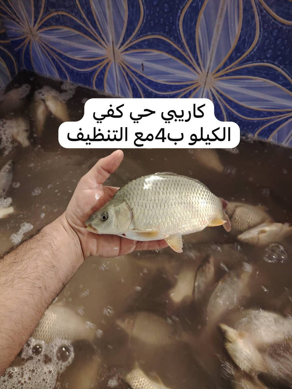 متوفر سمك جديد هسه وصلني مكاني تكريت
توجد خدمة توصيل ***********
