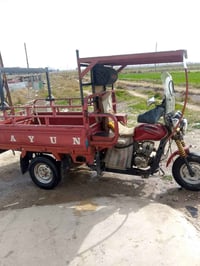 ستوتة ديوان • موديل 19 • أوراق أصلية