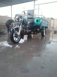 ستوتة • ستوتة 2023 • ستوتة بلال • ستوتة مكفولة • ستوتة مرقمة • ستوته ب...