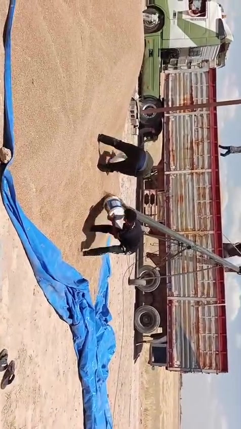 يوجد برينه تحميل حنطه   متواجدين من الناعمه حمرين   تا كصيبه معيبدي ادور العلم   للفتحه على مدار 24ساعه للاتصل ***********
