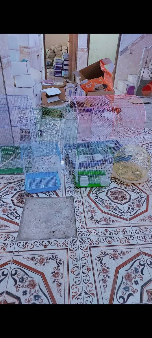 خانات طيور + قفاصة  نواع الحجام +هاسكيات وجهيات حديد *********** المكان ميسان ابرمانة ***********
