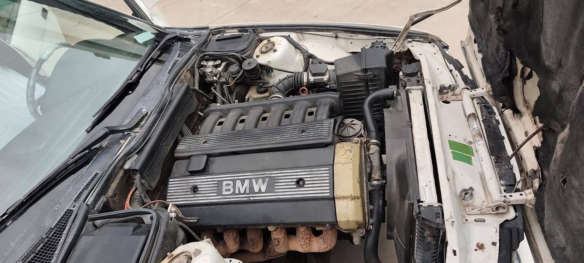 سلام عليكم للبيع بي ام حجم 520 موديل 91 محرك كبس گير عادي جامات كهربائي  سنويه جديد ل29 گير محرك بشرط حداديات جديد تخم تاير جديد كهربائيات كله يشتغل سعر 53 
عنوان كلار 
لتواصل ***********

بو فروشتن بي ام 520موديل 91 مه كينه كه بس گير عادي سه نه ويه تا 29تازه يه تاخم پيش ودواي تازه يه جوار تايه تازه كاره بايي هه موو ئيش ئه كا سلايته نر خي 53
له كه لاره

*********** أربيل, العراق
