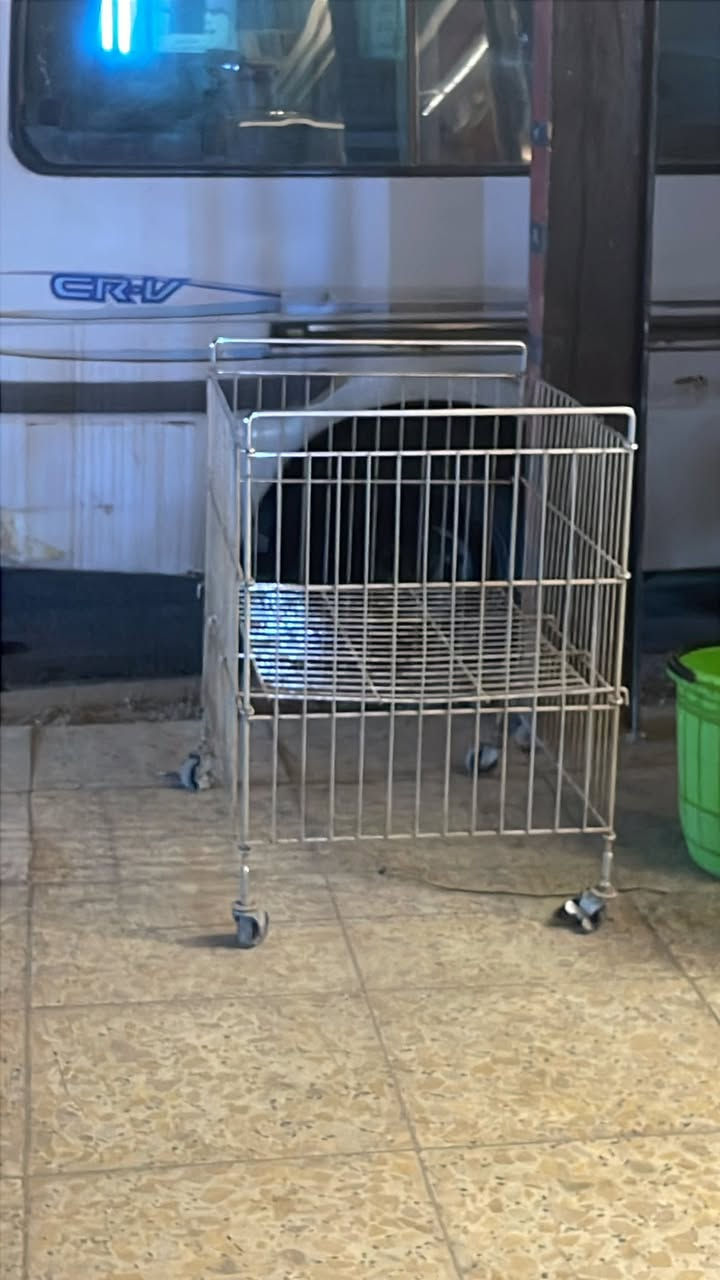 السلام عليكم. ملكانات عدد2 نظيفات بسعر مناسب. + تعاليك 225 قطعه كلهم ماركات  استاند عرض عدد3.   ملكان نص عدد6 و استاند أحذية عدد28 بسعر جداً مناسب. الاستفسار ***********
