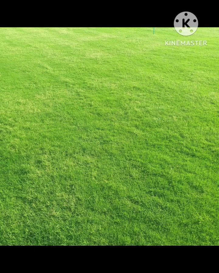 السلام عليكم فيد هندي درجه اولى المتر ب 2000 واصل كافت
*********** المحافظات
