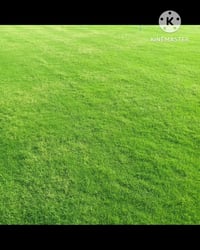 فيد هندي درجه اولى المتر ب 2000 واصل كافت 07783303578 المحافظات