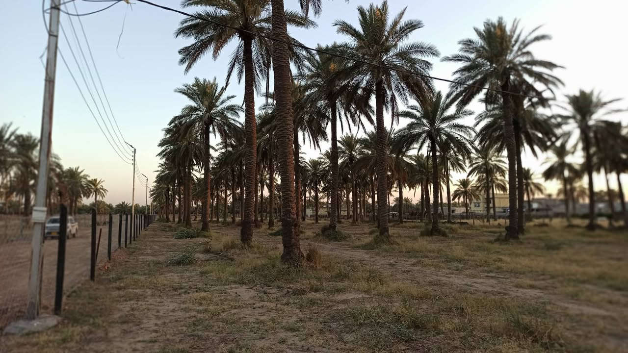 بستان ملك صرف للبيع
السلام عليكم 
من رخصة الأدمن المحترم
دوانم متجاورة مربعة بواجهة ٥٠ م ركن من بستان طابو زراعي سند ٢٥
# ملك صرف يعني الدولة ما الها متر بالبستان
جيرانك كلها حدائق واستراحات
تتوفر كافة الخدمات ماء اسالة وكهرباء وانارة
عرض الشارع ٩ متر
تصلح للسكن او حديقة او مشروع 
للعلم الدوانم اخر قطع موجودة من ١٠ دوانم
شرط يفتح بيان بالتحويل مباشرة بعد الشراء وتستلم سند باسمك
اسعار مختلفة مناسبة وارخص عن كل القطع المجاورة وحسب موقع الدونم
الموقع منطقة الشاعورة
الشارع السياحي قضاء الزوراء 
تفاصيل اكثر والموقع
واتساب ***********
اتصال ***********
