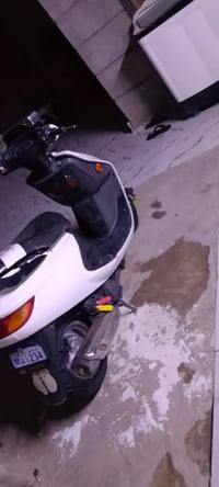 سكنس فحل • سلف • جاهزه