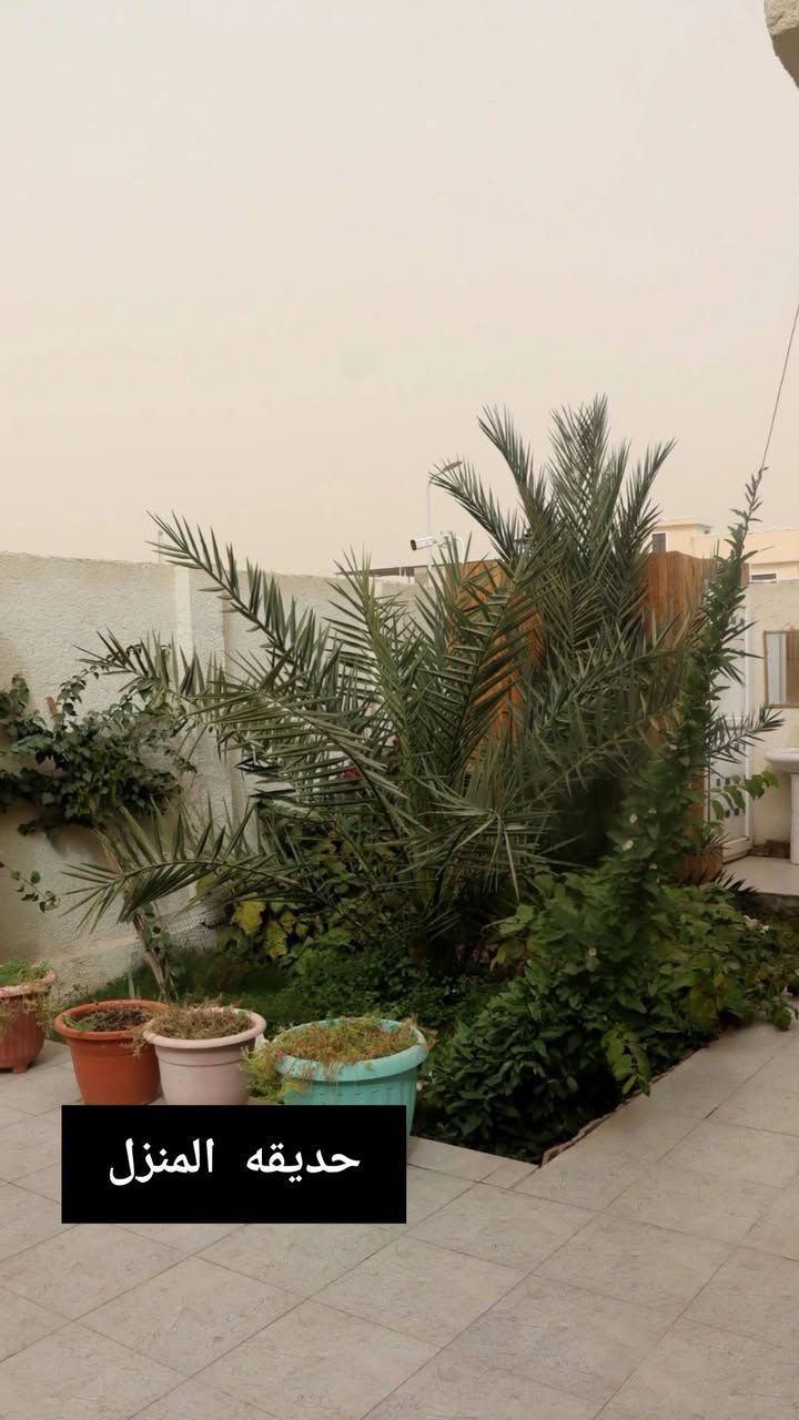 بيت للبيع في مجمع الاحرار السكني
خلف المدينه الرياضيه ..البيت ركن طابو صرف 200 متر
... مقابيل المنزل خدمات(مساحات خضراء قيد الانشاء) المنزل قريب من مدارس ثانويه وابتدائيه 
المنطقه تحتوي على جميع الخدمات [ماء كهرباء شوارع مبلطه]
 ...المنزل يحتوي على غرفتين 
و٣ صحيات ٢ داخليات وواحد خارجي 
استقبال كبيره 
صاله 
مطبخ 
حديقه وكراج 
المنزل مجهز بمنظومه كامرات حديثه جدا  تباع مع المنزل
والمطبخ يباع من ضمن المنزل
 المطبخ تفصال تركي درجه أولى مده الاستخدام اقل السنه 
.
.
سعر المنزل 295 مليون 
للإستفسار الاتصال على ***********
