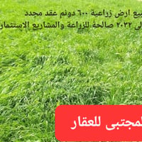 بسم الله ماشاء الله  🔴للبيع ارض زراعية بمساحة ٦٠٠ دونم باكافة   الخدما...