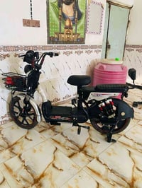 مراوس • ستوته