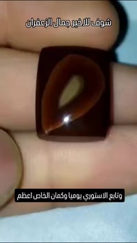 معامل ابويوسف • جملة ومفرد • اكسسوارات