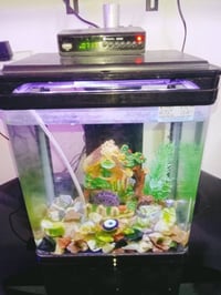 حوض سمك • ماطور • نافورة