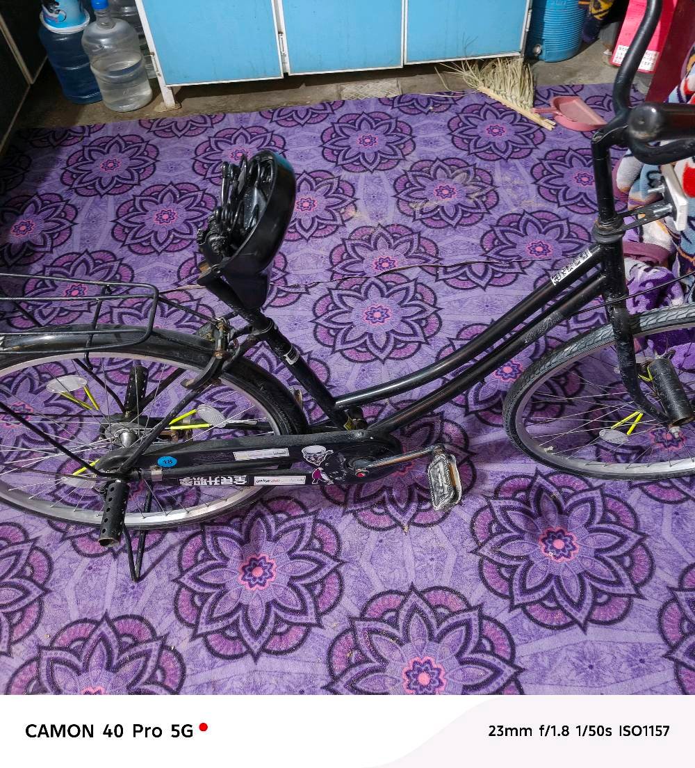 النجف بالزراعي يم المطحنه 