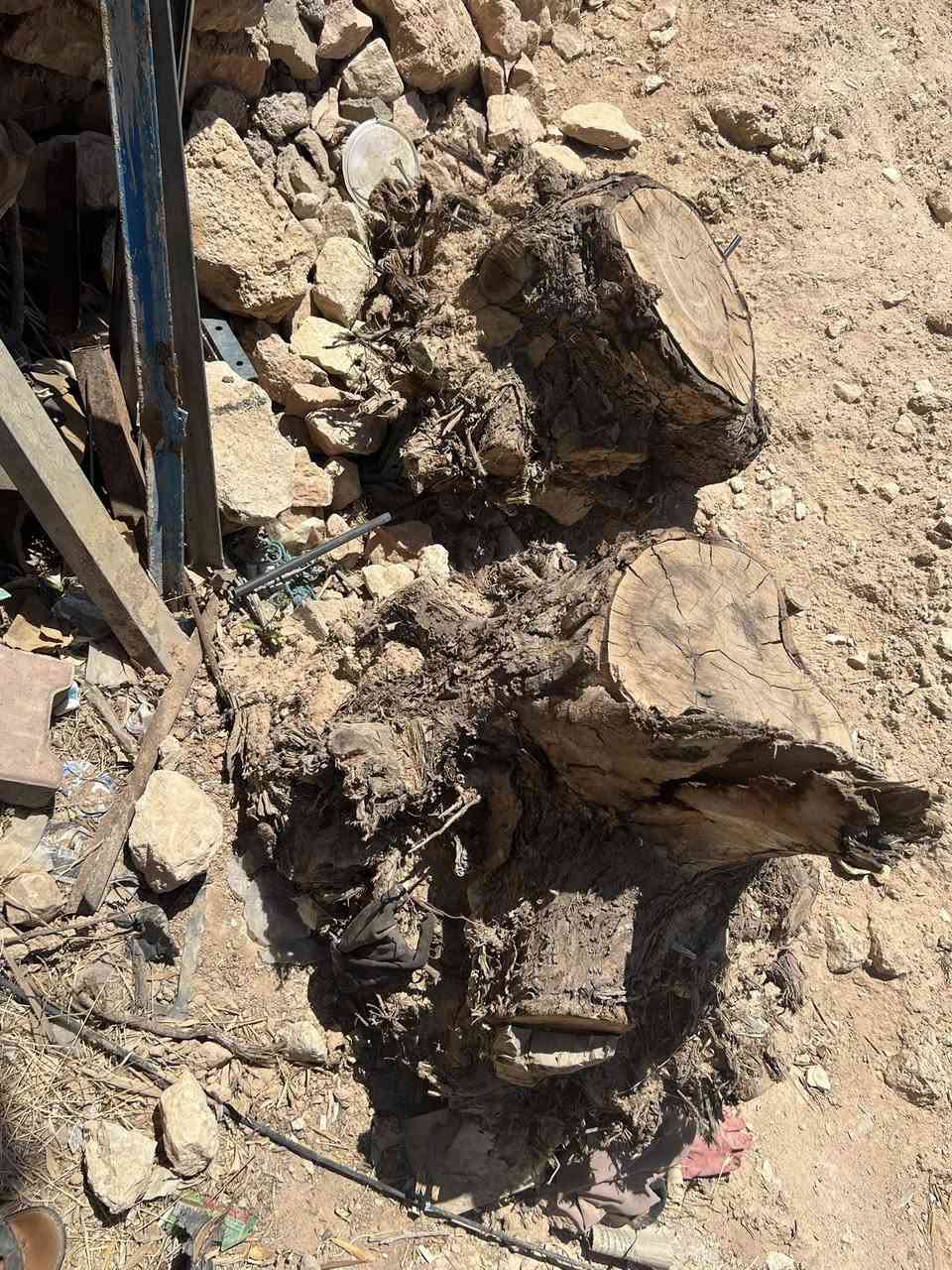 متوفر خشب حطب تقريبا حمل كية 
مال شجر زيتون وقلنطوز ومشمش
مثل ما موضح بالصور المكان حقلانية


**إذا كنت صاحب هذا الإعلان وتريد حذفه لأي سبب، رجاءا أرسل رسالة إلى الدعم الفني**