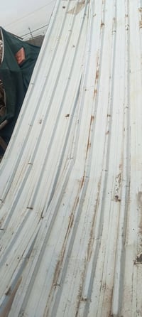 جينكو • ٥ونص طول • ١م عرض