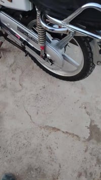 تايگر • ٢٠١٩ • ٤كير