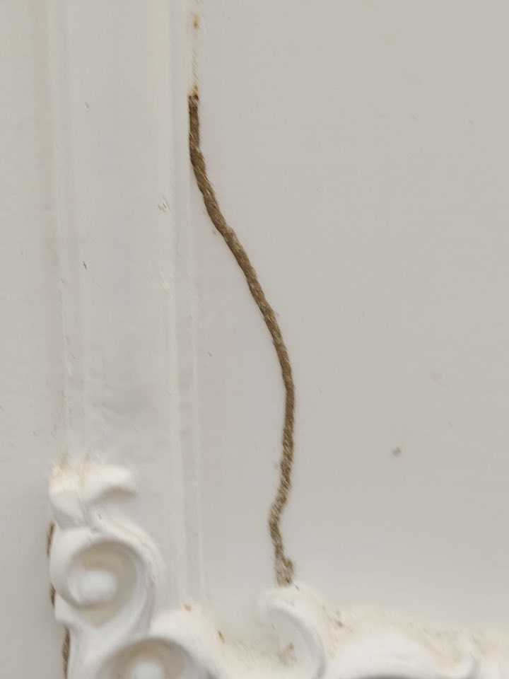 عندك ارضة بالبيت ؟ ( 🐜) وماكلة الحايط والاخشاب وتريد تخلص منها الحل يم شركه القلعه لزراعية لمكافحة الآفات وحشرة الأرضة طبعاً اول شي نفحص بيتك بجهاز سونار وبعده رش المبيدات وبضمان حقيقي✅تصل مدة الضمان الى 10 سنوات موجود عروض وخصومات لكل دوائر الحكومية  ومجمعات السكنيه وهاا تعفير وتعقيم مجاني ومواد فايروسه ناقله للعدوه بنسبه للحشرات صحه عامه عديمة الرائحة  وميحتاج اخلاء الموقع  وكوادرنا تعمل لجميع  محافظاات العراق الآن اتصل بنا ***********(☎️) او مراسلة الصفحة الرئيسية او الاتصال على رقم الهاتف ☎️***********واتساب 📞
