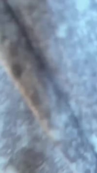 تفصيل حسب الطلب • ضمان اكيد • توصيل لجميع المحافظات