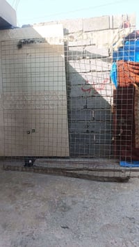 امريكان • ٢.٥م×٢.٥م • مراسله خاص