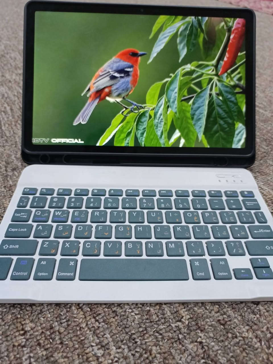 ايباد ريدمي باد SE ذاكره 256 جديد فقط مفتوح من الكارتونه استعمال اقل شهر
  غراضه كامله مع كيبورد وماوس ........
وكفر جلد دقه عاليه شاشه والصوت السعر 240


**إذا كنت صاحب هذا الإعلان وتريد حذفه لأي سبب، رجاءا أرسل رسالة إلى الدعم الفني**