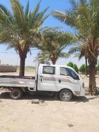 سيارة • ٢٠١٤ • بابل