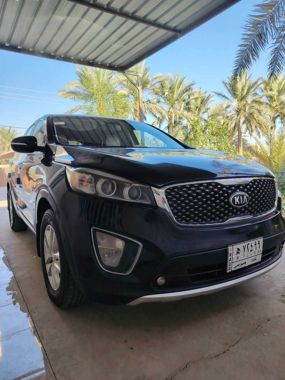 السلام عليكم ..
كيا سورنتوا موديل 2016 وارد امريكي حادثها دعاميه و حافة البنيد فقط بدون ايرباك رقم بغداد الجديد محرك 2400 كاملة و جاهزة سعرها 158$ و بيها مجال مكانها بابل / المسيب للاستفسار ***********
