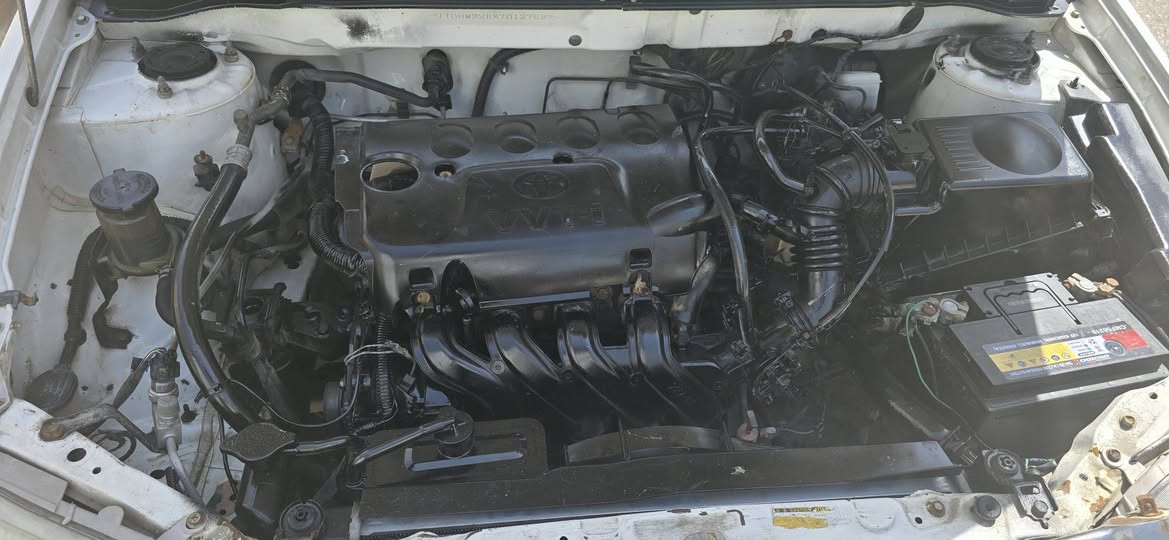 السلام عليكم كورلا 2007 بيكاتشو للبيع مكينه 1600 وكير ومكينه خير من الله واصوليات كفاله رقم عمارة مميز جدا مشروع وطني شرط التحويل تبريد خير من الله شرط الفحص معروف البيكاتشو
شاشه وكامره وسستم صوت  السيارة بيهة ملاحظات مثل ماموضح سيارة بيهة قطعه وحده فقط مصبوغة والباقي ملاحظات للبيع مستعجل موشراي لاتوكف رزقي يرحم والديك  السعر75 وبيها مجال للشراي يشلع عيوني  تواصل ***********
