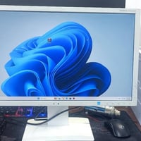 ٢٤بوصة • NEC ياباني • شاشة ثانوية