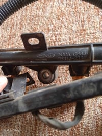 تخم نوزلات اصلي حاويه السعر 50.. 07826350701