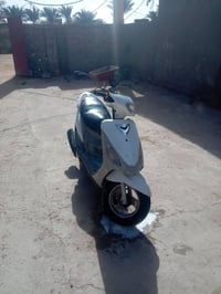 ماكس مغولي • ستارت كهربائي • المجد