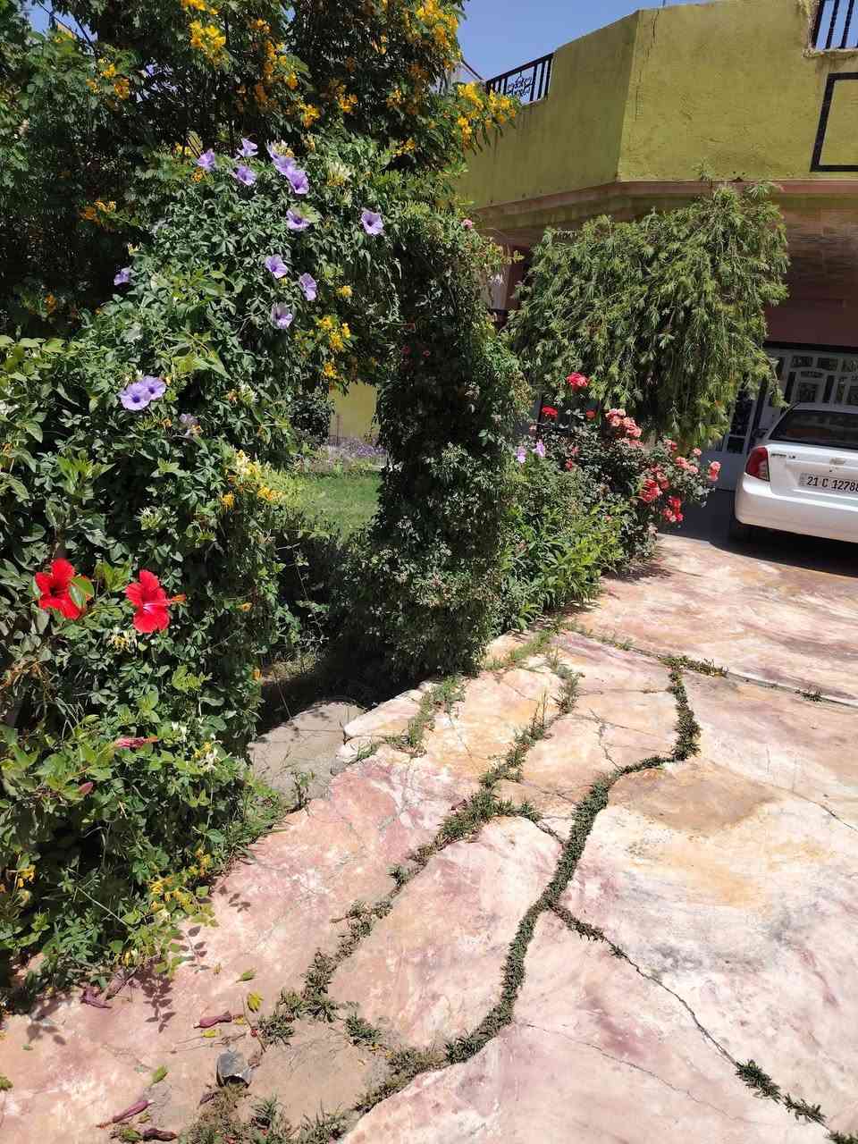 دار البيع زراعي حي المهدي من تدخل اول فرع ع يسرا مساحة الدار 740
كمل سيراميك جديد  غرفتين  صحيات داخليه و خرج 

  خاص ماعندي اتصل و ادلل ***********
