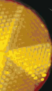 سلام عليكم دراجه نامه موديل 2023 والله دراجه نضيفه دراجه كدام لعين وراق سكنر والسعر خاص تخل ودلل وهذا رقم ***********
