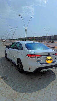 كورلا فول اس • ٢٠٢١ • بصره القبله